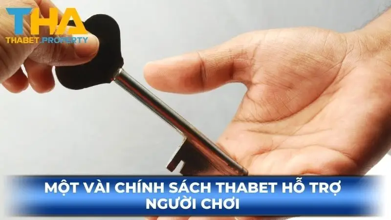 Cờ Bạc Trách Nhiệm Thabet - Yếu Tố Tạo Nên Trải Nghiệm - nepiju.icu