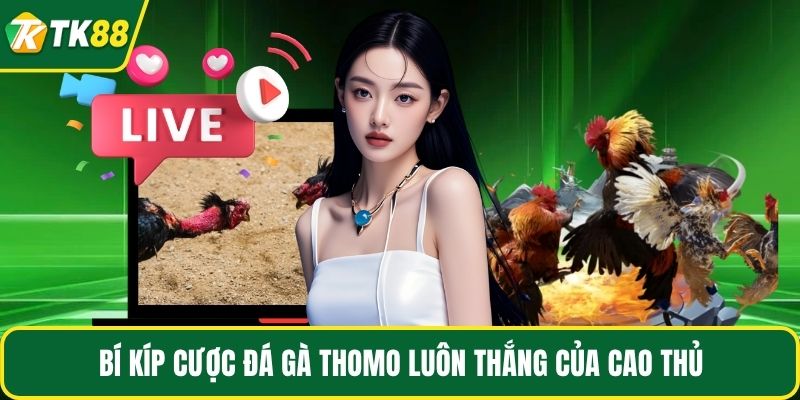 Đá Gà Thomo - Những Điều Hấp Dẫn Mà Bạn Chưa Hề Biết - nepiju.icu
