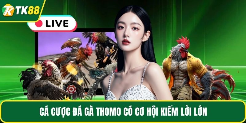 Đá Gà Thomo - Những Điều Hấp Dẫn Mà Bạn Chưa Hề Biết - nepiju.icu