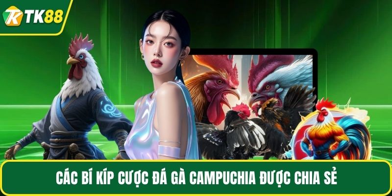 Đá Gà Campuchia - Chi Tiết Luật Chơi, Chiến Thuật Cược Thắng - nepiju.icu