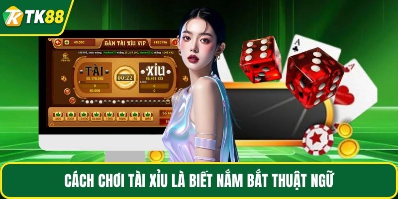 Cách Chơi Tài Xỉu Chuẩn Xác Nhất Từ Chuyên Gia Cá Cược - nepiju.icu