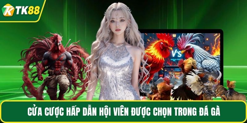 Đá Gà - Tận Hưởng Đấu Kê Chiến Thuật, Thưởng Cực Đậm - nepiju.icu