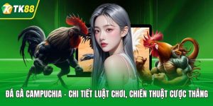Đá Gà - Tận Hưởng Đấu Kê Chiến Thuật, Thưởng Cực Đậm - nepiju.icu