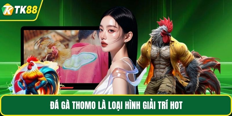 Đá Gà Thomo - Những Điều Hấp Dẫn Mà Bạn Chưa Hề Biết - nepiju.icu