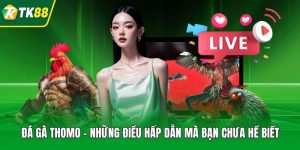 Đá Gà - Tận Hưởng Đấu Kê Chiến Thuật, Thưởng Cực Đậm - nepiju.icu