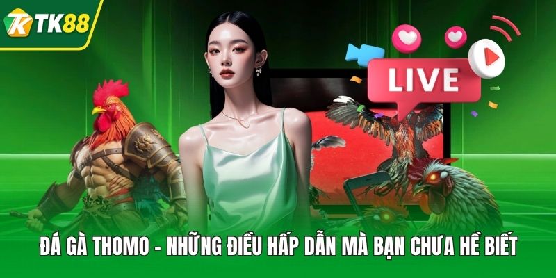 Đá Gà Thomo - Những Điều Hấp Dẫn Mà Bạn Chưa Hề Biết - nepiju.icu