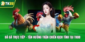 Đá Gà - Tận Hưởng Đấu Kê Chiến Thuật, Thưởng Cực Đậm - nepiju.icu