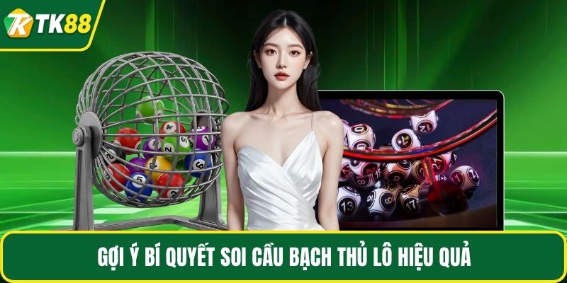Bạch Thủ Lô - Kinh Nghiệm Chơi Của Cao Thủ Năm 2026 - nepiju.icu