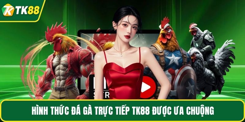 Đá Gà Trực Tiếp - Tận Hưởng Trận Chiến Kịch Tính Tại TK88 - nepiju.icu