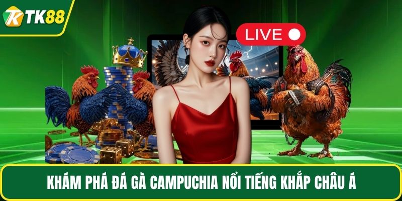 Đá Gà Campuchia - Chi Tiết Luật Chơi, Chiến Thuật Cược Thắng - nepiju.icu