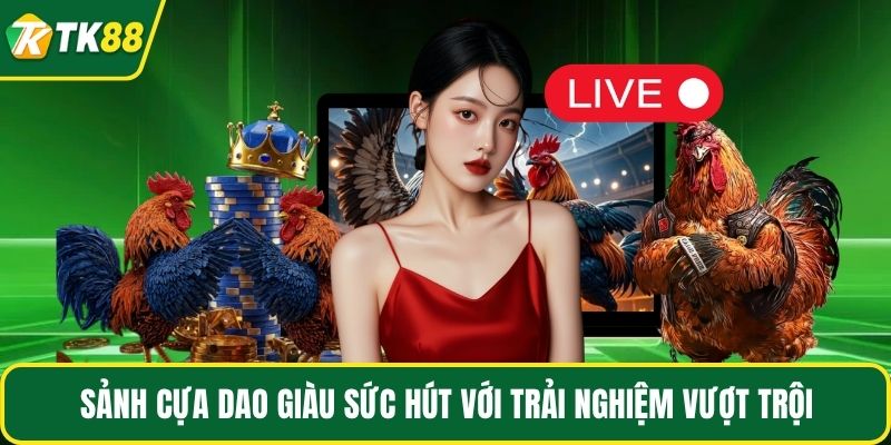 Đá Gà - Tận Hưởng Đấu Kê Chiến Thuật, Thưởng Cực Đậm - nepiju.icu