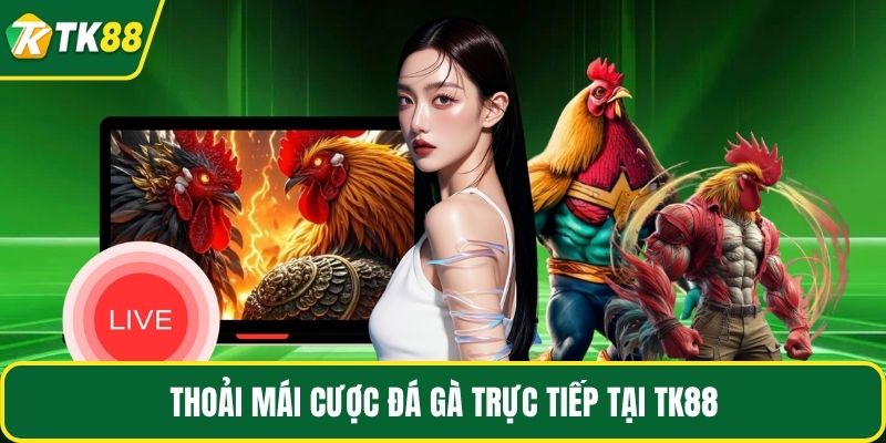 Đá Gà Trực Tiếp - Tận Hưởng Trận Chiến Kịch Tính Tại TK88 - nepiju.icu